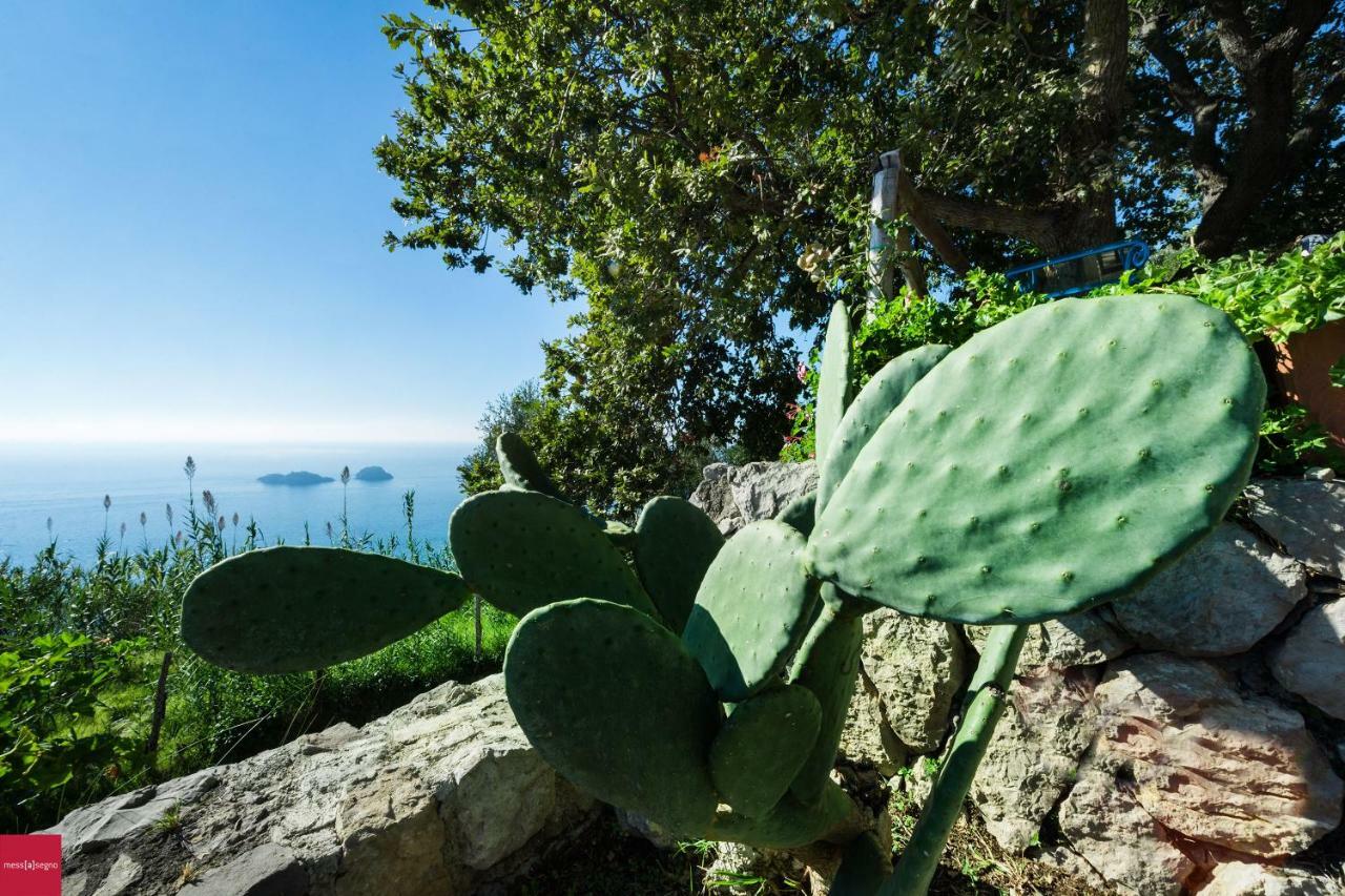 Il Nibbio Apartment Piano di Sorrento Exterior photo