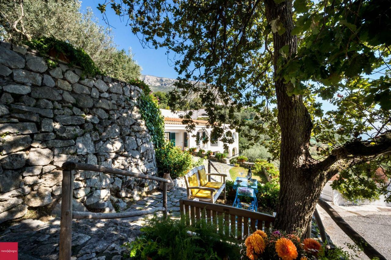 Il Nibbio Apartment Piano di Sorrento Exterior photo