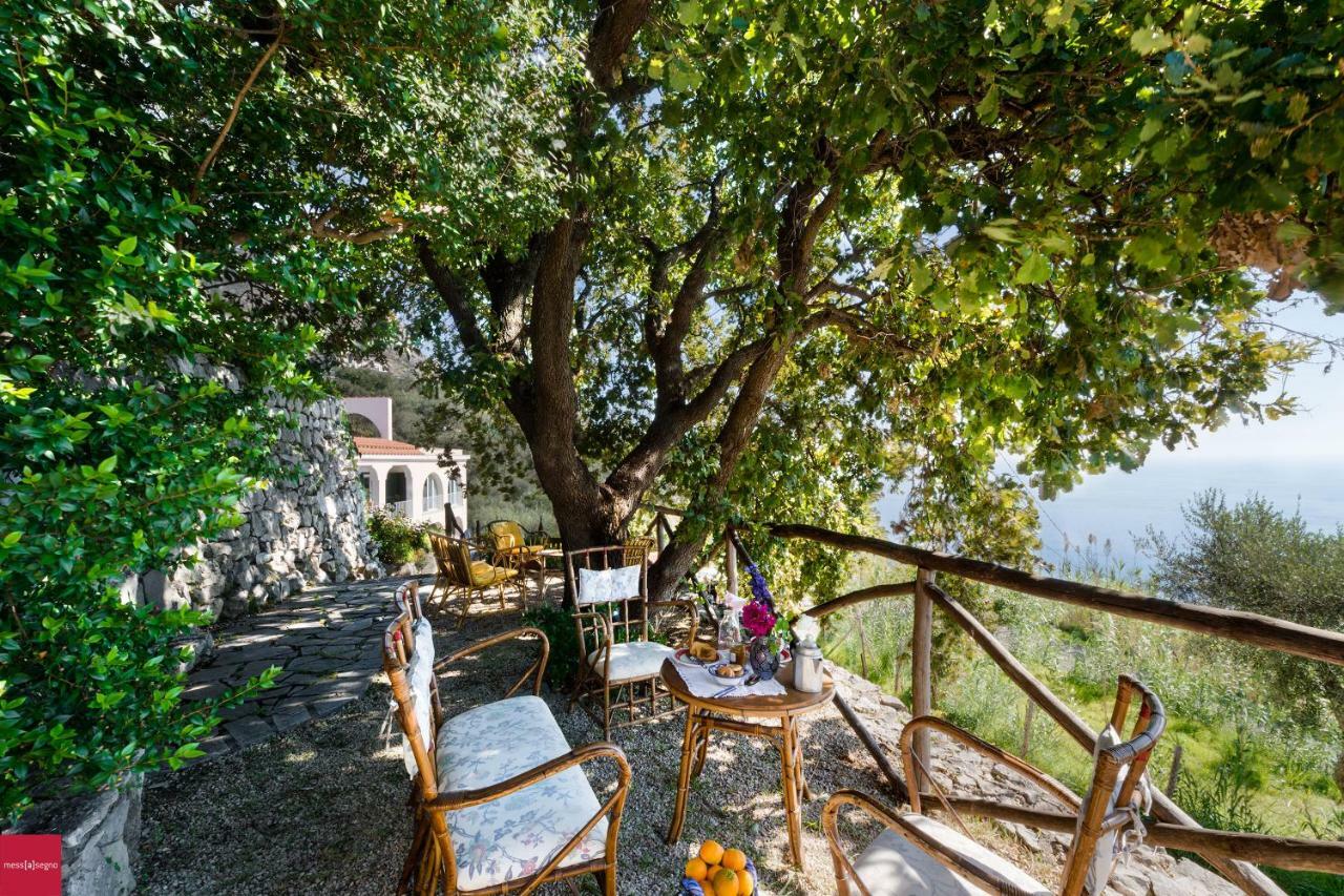 Il Nibbio Apartment Piano di Sorrento Exterior photo